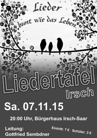 Plakat Konzert 07.11.2015_A2_grau