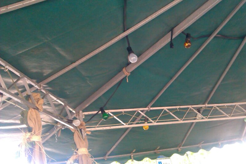 IMAG0038