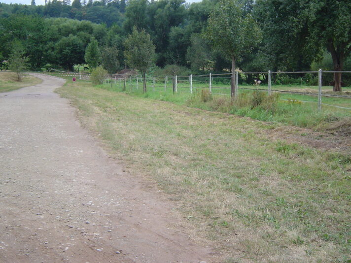 DSC00329